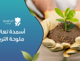 أسمدة تعالج ملوحة التربة